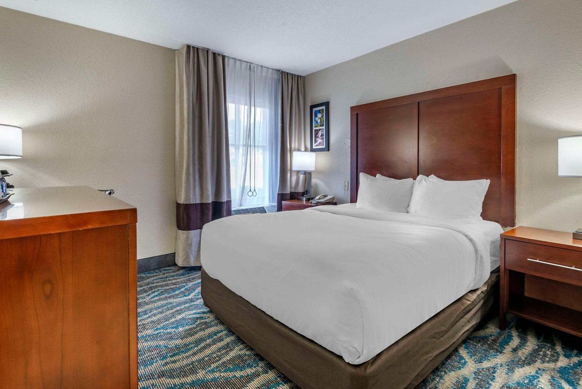 Comfort East-blue Ridge Pkwy Access Inn Asheville